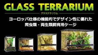 飼育ケージ・用品について 爬虫類情報 | 爬虫類用品・エキゾテラの