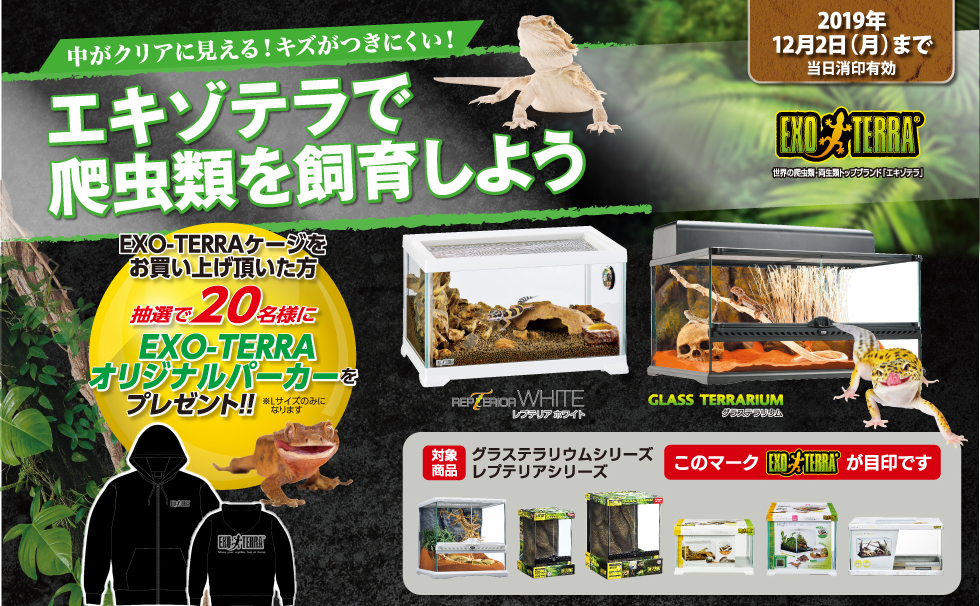 エキゾテラで爬虫類を飼育しよう
