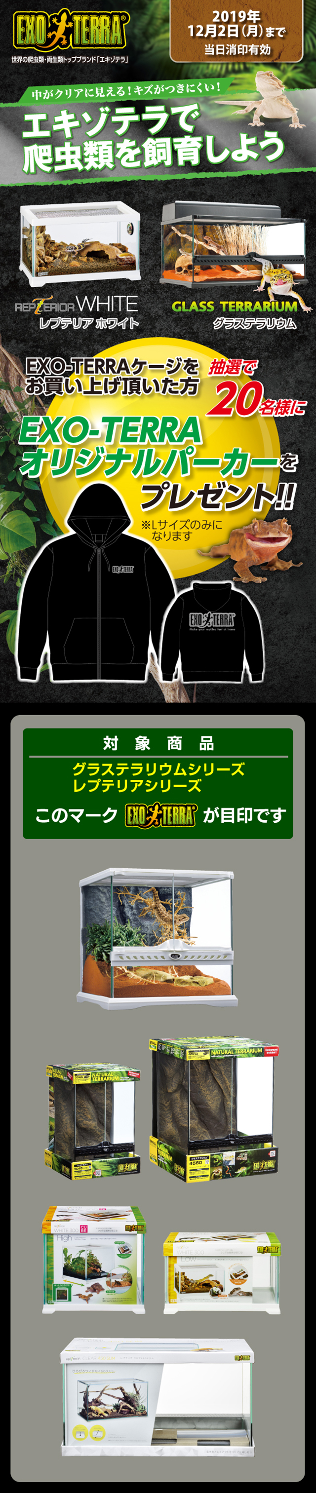 エキゾテラで爬虫類を飼育しよう