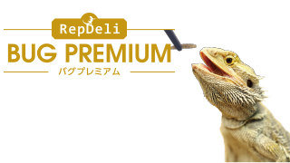 バグプレミアム