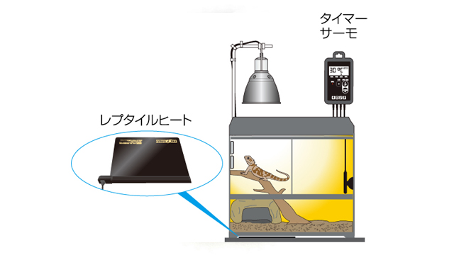 フトアゴヒゲトカゲの飼い方〈保温〉