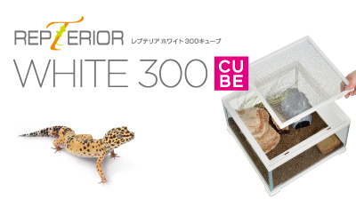 レプテリアホワイト300CUBE