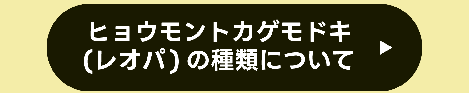 ヒョウモントカゲモドキ(レオパ)の種類について