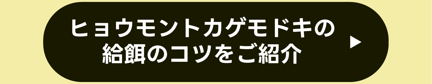 ヒョウモントカゲモドキの給餌のコツをご紹介