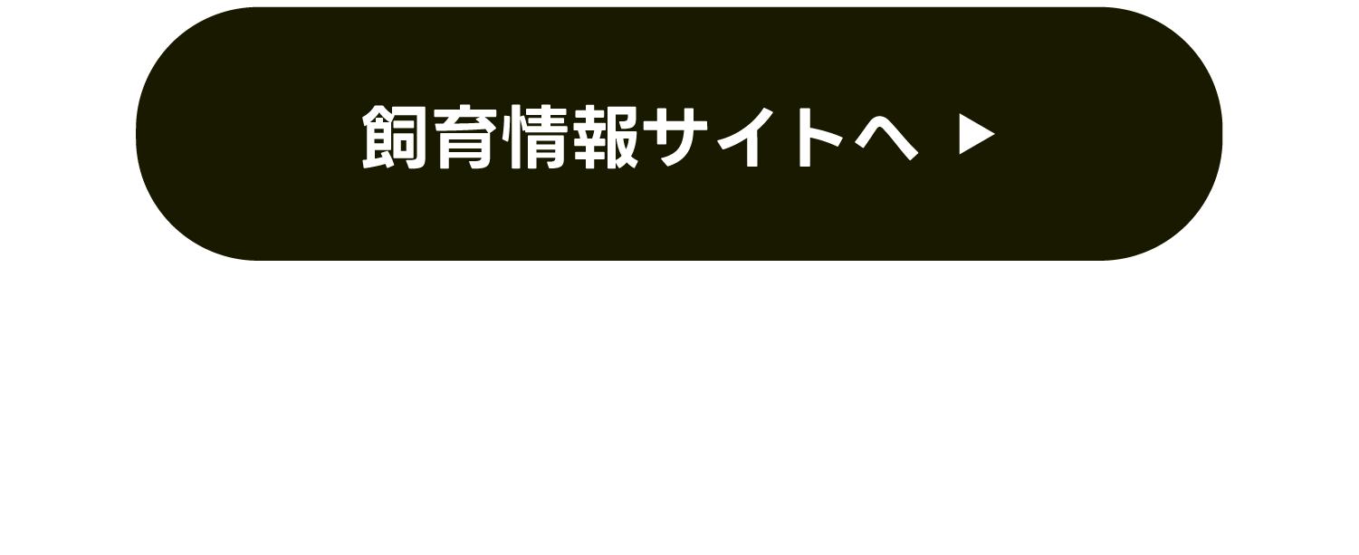 飼育情報サイトへ