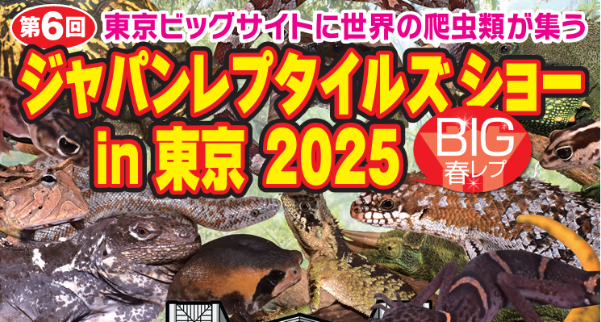 ジャパンレプタイルズショーin東京2025
