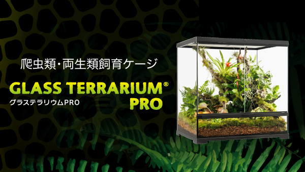 爬虫類・両生類飼育用ケージ/グラステラリウムPRO
