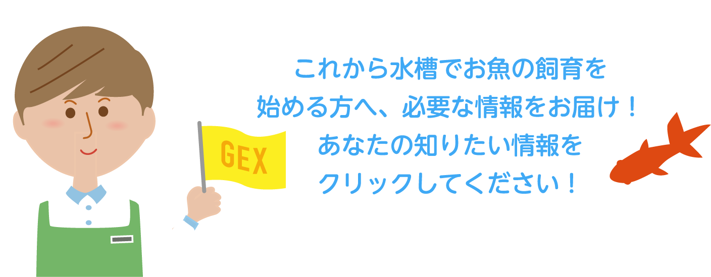 おさかな飼育ガイド