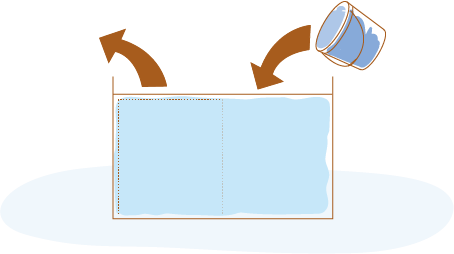 水換え〈2週間に1回〉