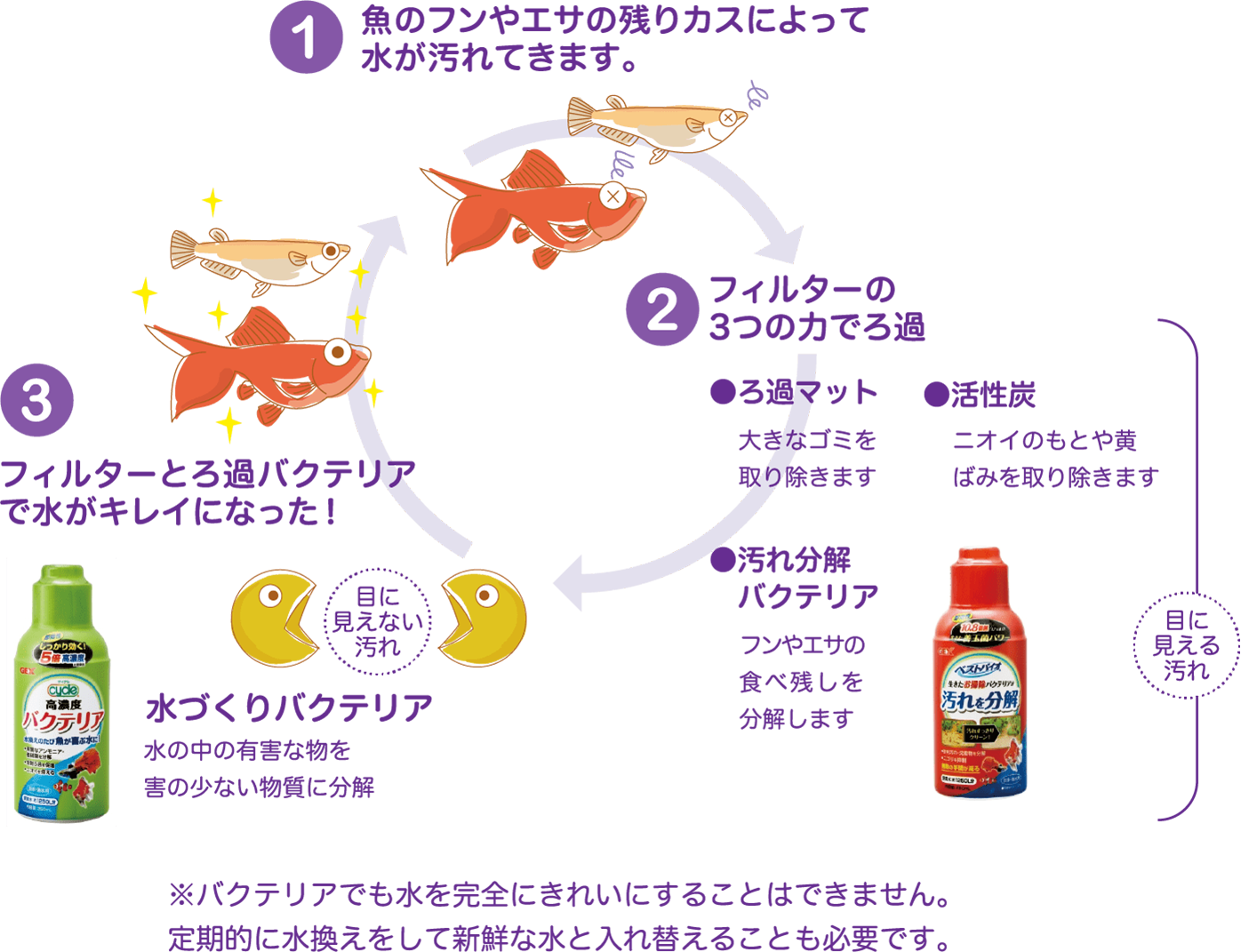 汚れの分解サイクル