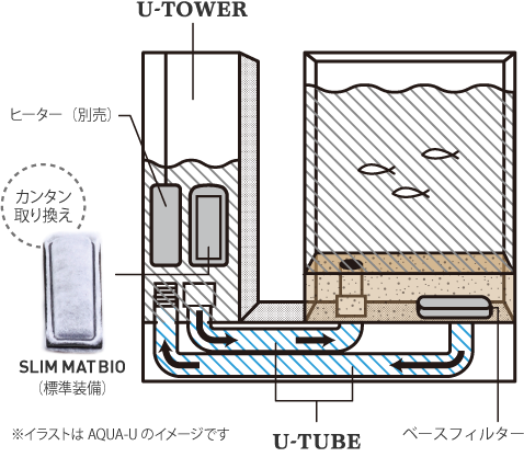 Aqua U 熱帯魚 観賞魚 アクアリウム用品 ジェックス株式会社