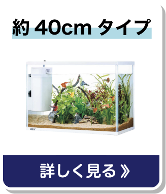 約40cmタイプ