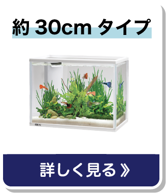 約30cmタイプ