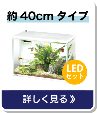 水槽navi あなたの水槽選びをサポート ジェックス