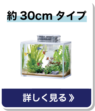 約30cmタイプ