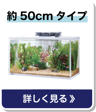 約50cmタイプ