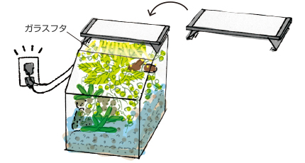 ガラスフタとライトを置いて、ライトとフィルターの電源を入れてアクアテラ完成