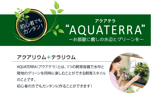 アクアテラ AQUATERRA　アクアリウム＋テラリウム　AQUATERRA（アクアテラ）とは、 1つの飼育容器で水中と陸地のグリーンを同時に楽しむことができる飼育スタイルのことです。初心者の方でもカンタンに作ることができます！