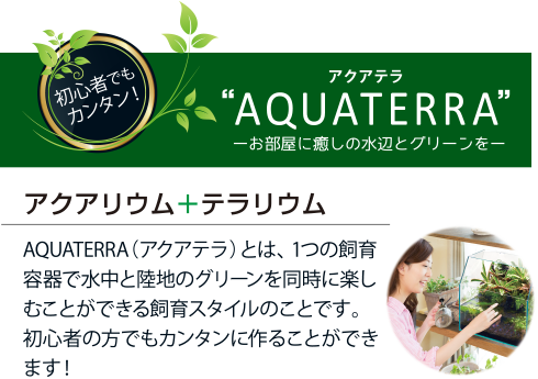 アクアテラ AQUATERRA　アクアリウム＋テラリウム　AQUATERRA（アクアテラ）とは、 1つの飼育容器で水中と陸地のグリーンを同時に楽しむことができる飼育スタイルのことです。初心者の方でもカンタンに作ることができます！