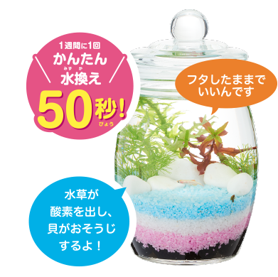 1週間に1回かんたん水換え50秒！フタしたままでいいんです 水草が酸素を出し、貝がおそうじするよ！