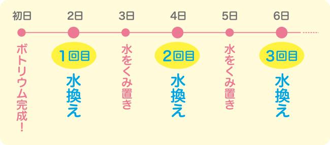 作った最初の1週間は、3回の水換えが安心！