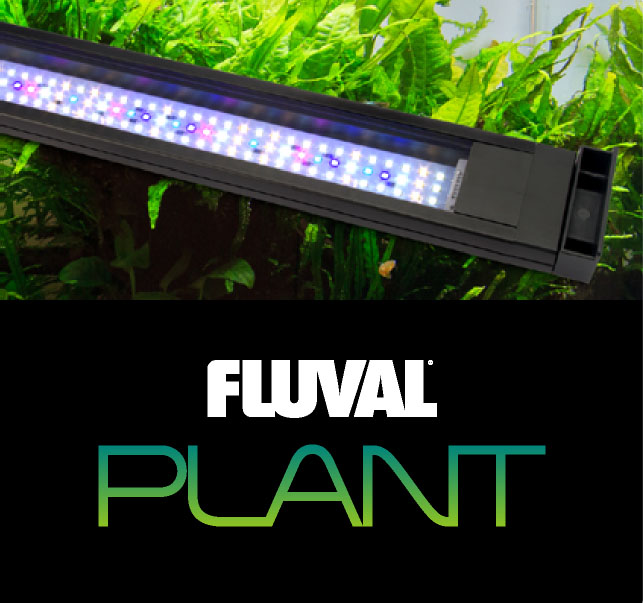 FLUVAL PLANT 600