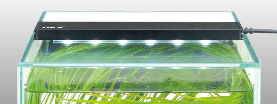 コンパクトで明るいスリム高輝度LED クリアLED フラッティパワー