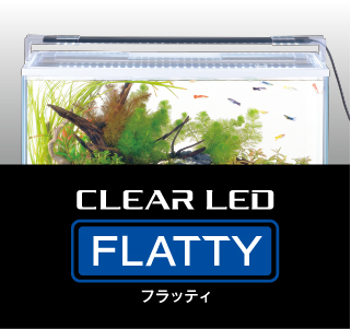 クリアLED フラッティ600