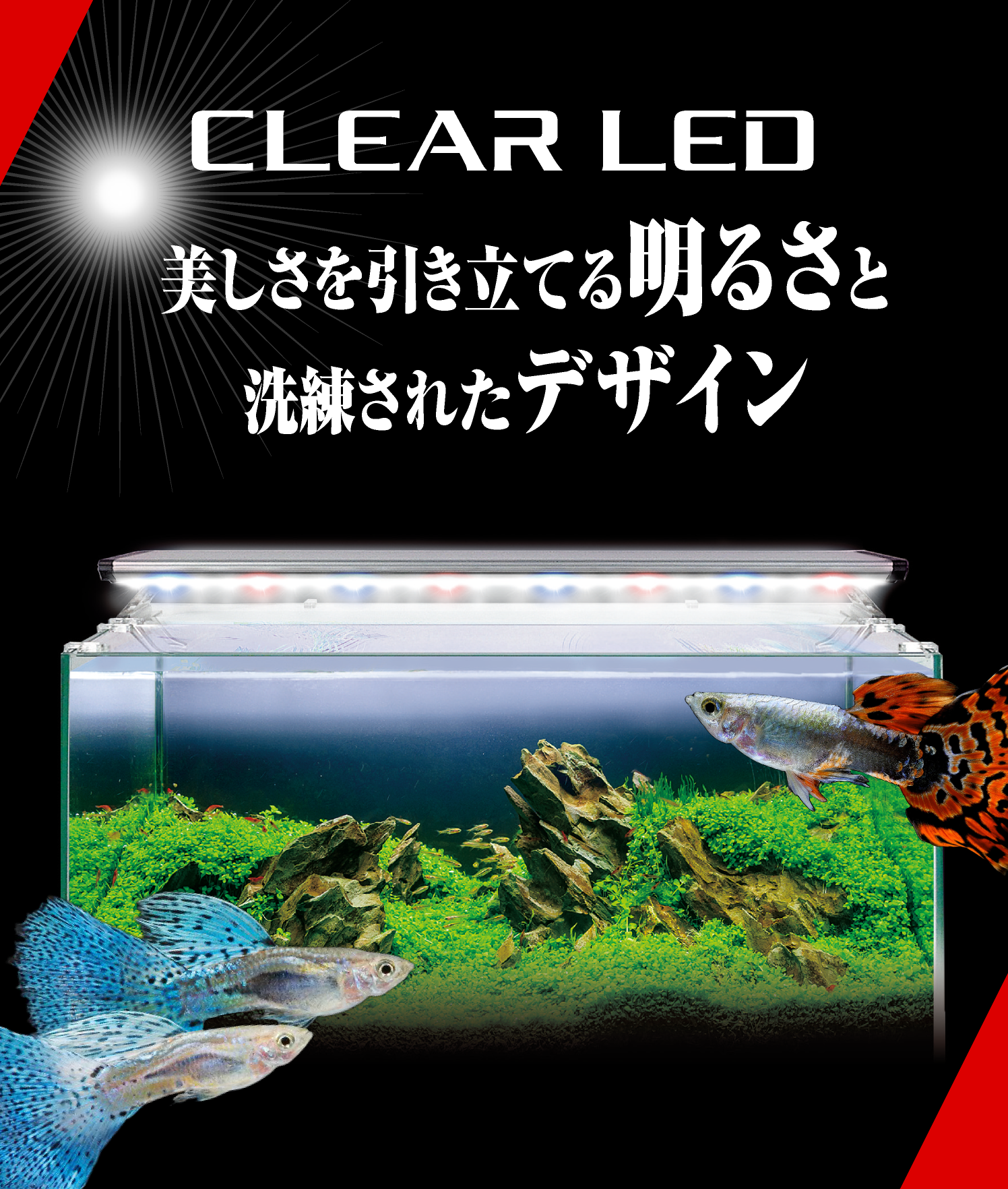 GEX CLEAR LED POWER Ⅲ 900 3色水槽ライト 熱帯魚