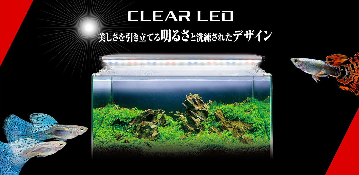 CLEAR LED 熱帯魚 観賞魚 アクアリウム用品 ジェックス株式会社