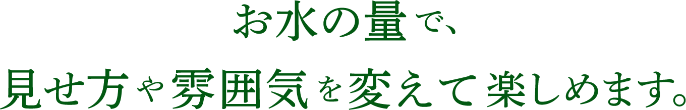 お水の量で、見せ方や雰囲気を変えて楽しめます。