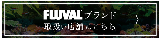 FLUVALブランド　取扱い店舗はこちら