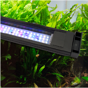 fluval plant 600