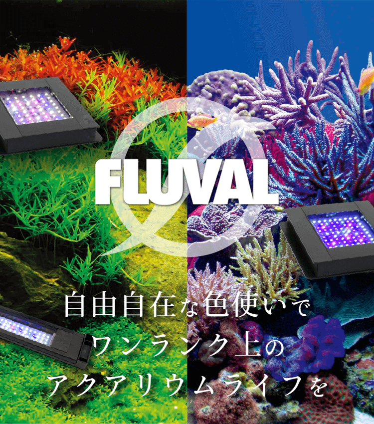 fluval 自由な色使いでワンランク上のアクアリウムライフを