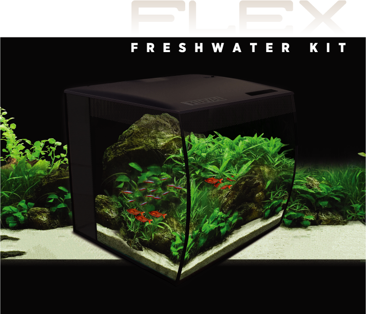 FLUVAL FLEX丨自由自在のLED付き水槽丨ジェックス
