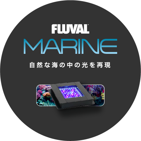 fluval marine