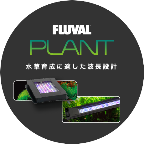fluval plant