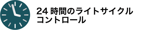 24時間のライトサイクルコントロール