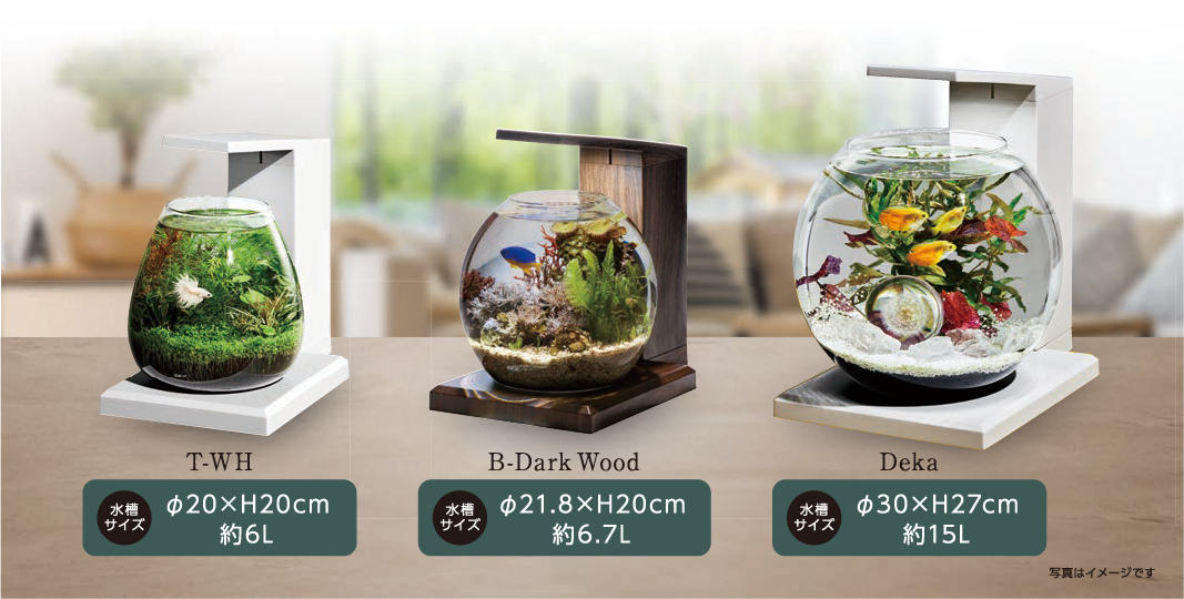 T-WH・B-Dark Wood・Dekaの大きさ比較