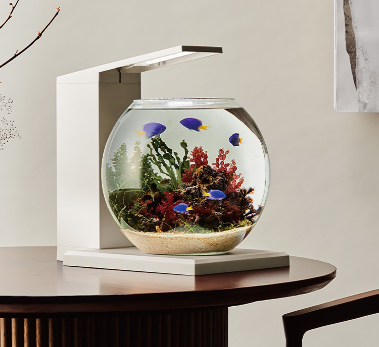 GLASS AQUA PERCO GLASS AQUA Deka PERCO DB-WH