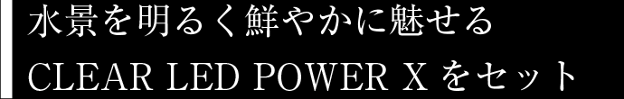 水景を明るく鮮やかに魅せるCLEAR LED POWER Xをセット