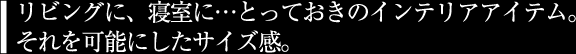 リビングに、寝室に…とっておきのインテリアアイテム。それを可能にしたサイズ感。