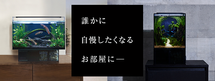 誰かに自慢したくなるお部屋に