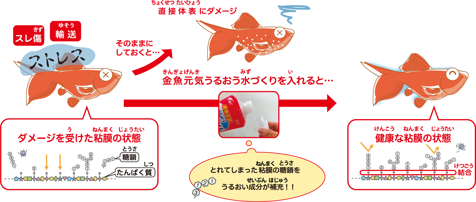 金魚のストレス図