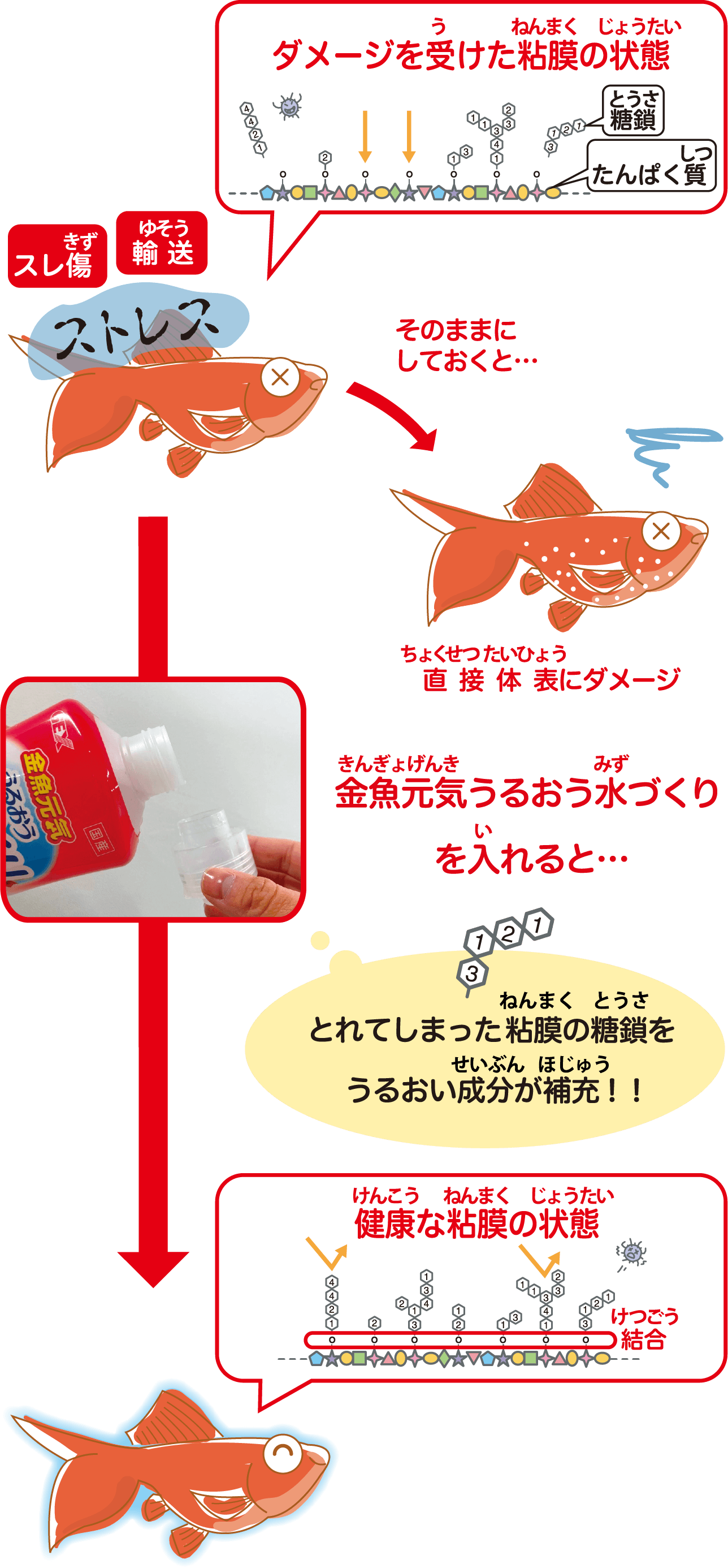 金魚のストレス図