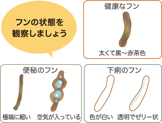 フンの状態を観察しましょう