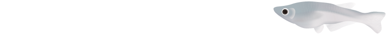 稚魚〜若魚　成長用