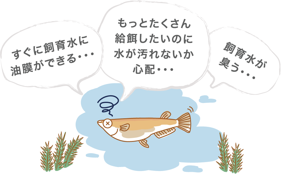 すぐに飼育水に油膜ができる・・・。もっとたくさん
給餌したいのに水が汚れないか心配・・・。飼育水が臭う・・・。