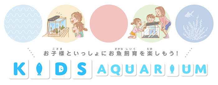 お子様といっしょにお魚飼育を楽しもう！ KIDS AQUARIUM