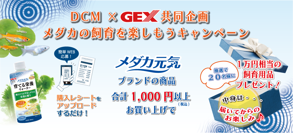 DCM × GEX 共同企画　メダカの飼育を楽しもうキャンペーン